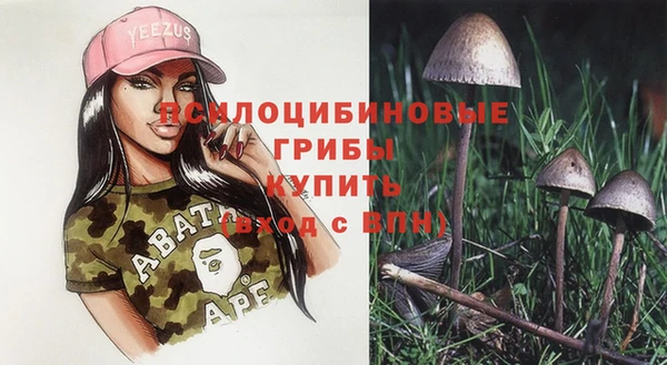 прущая мука Абаза
