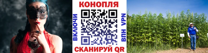 гидра ссылка  Пошехонье  Марихуана OG Kush 